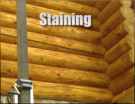  Edward, North Carolina Log Home Staining